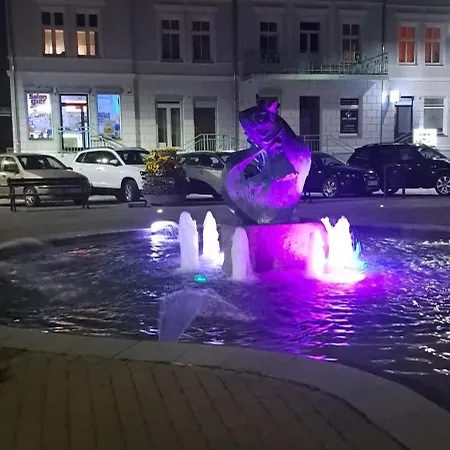 Swan