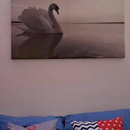 Apartment Swan