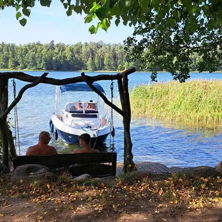 Swan Миколайки
